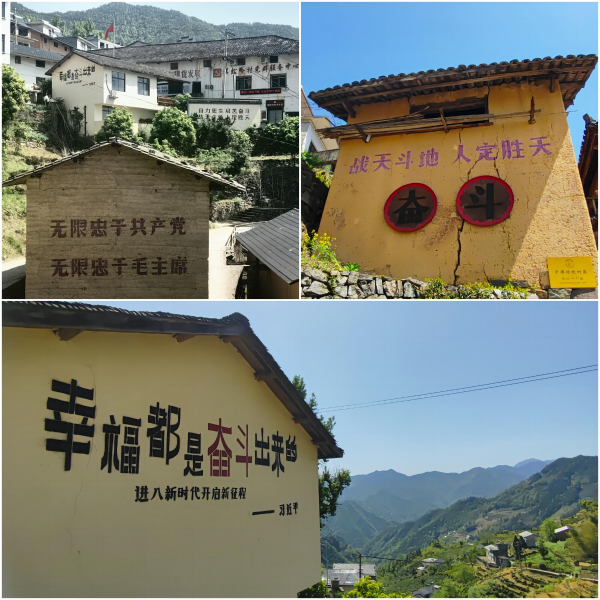 http://shsf-edu.com/hsdt/234.html